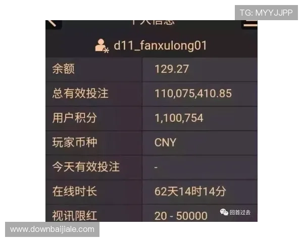 亚星yaxin222百家乐安全支付方式与资金管理技巧帮助玩家轻松理财