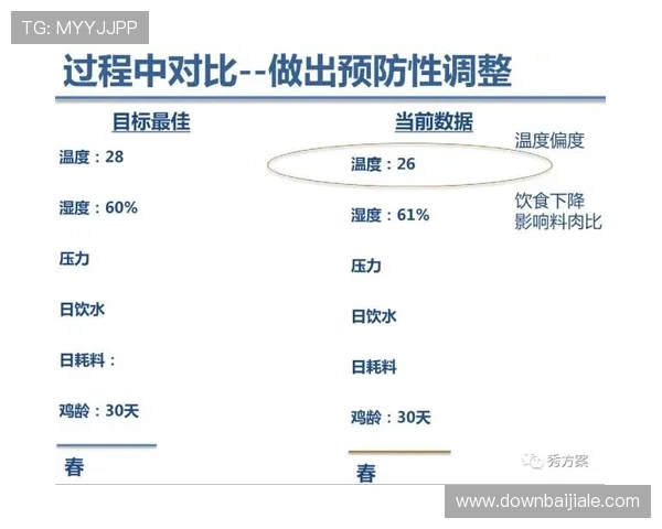 bb视讯快速厅常见问题解答，解决玩家在使用过程中遇到的登录与流畅度难题